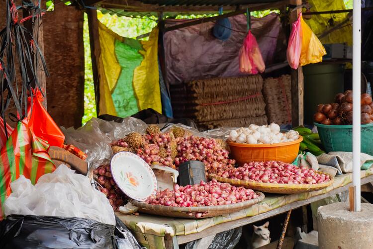 Lessuna assele' bara'bah jio Tana Duri